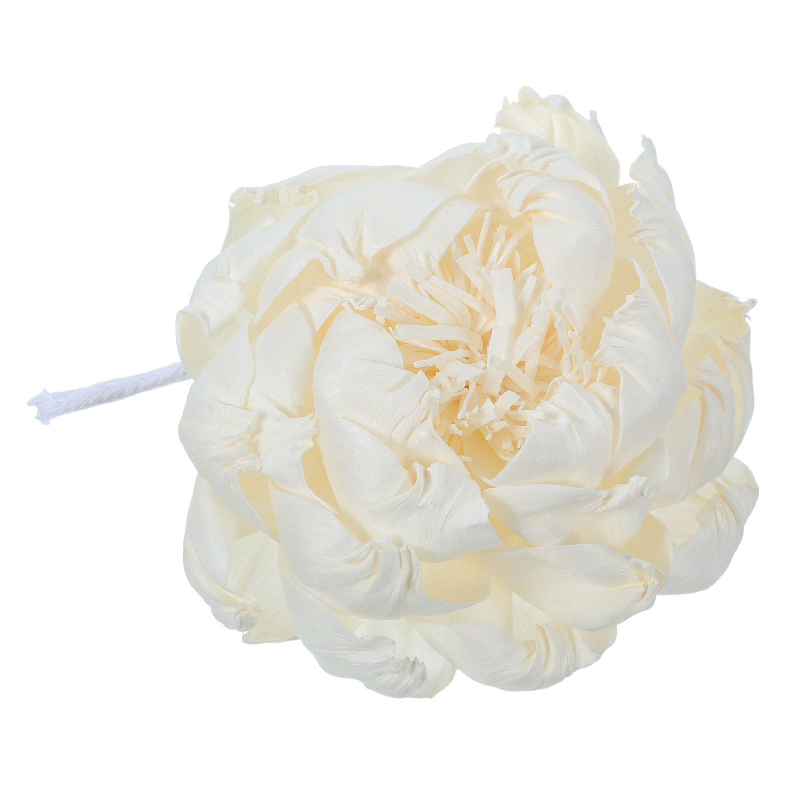 Pioenroos Geurverspreider 12Cm - Home Fragrance Usa recensie en prijs