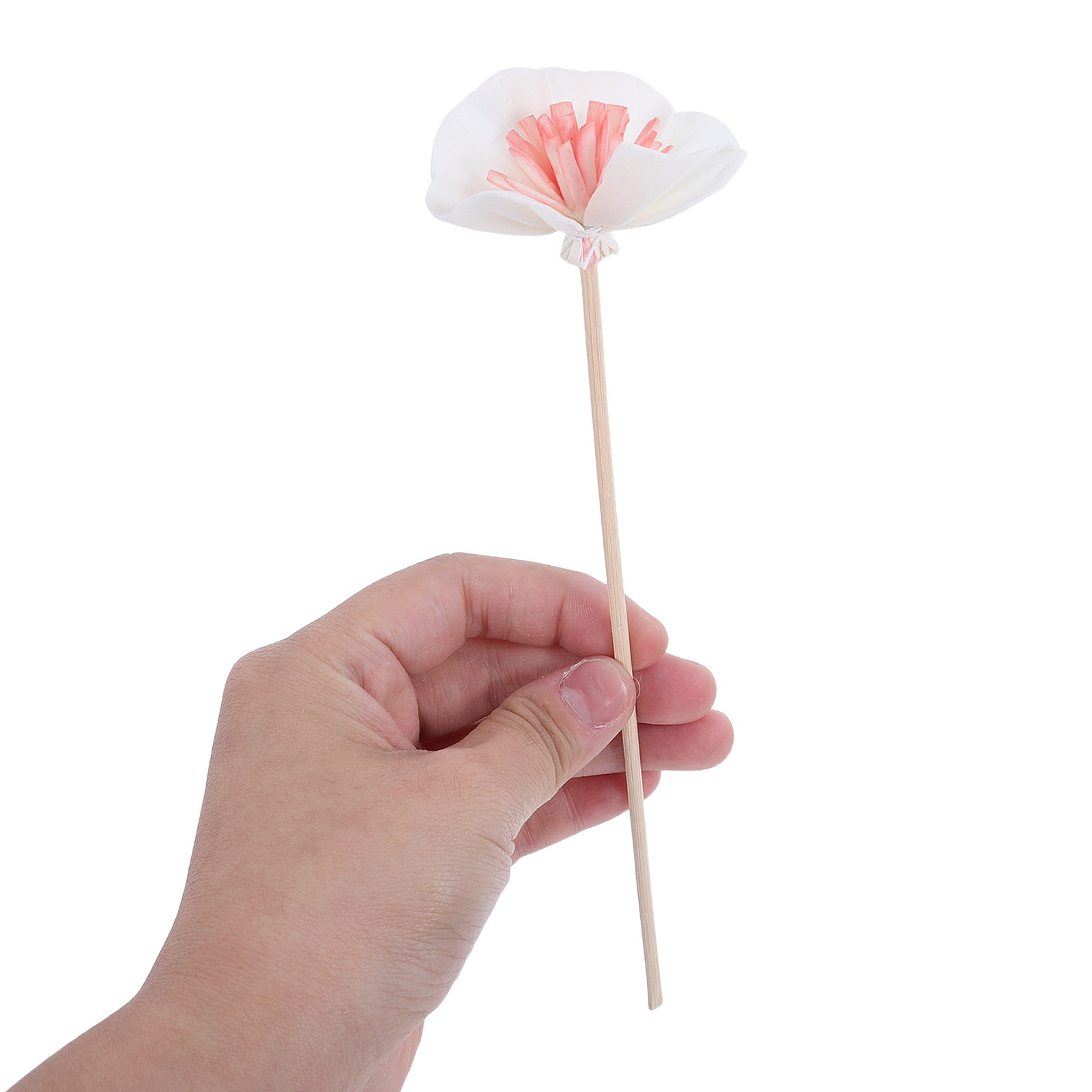 10 stuks zwarte essentiële oli - Home Fragrance Usa recensie en prijs