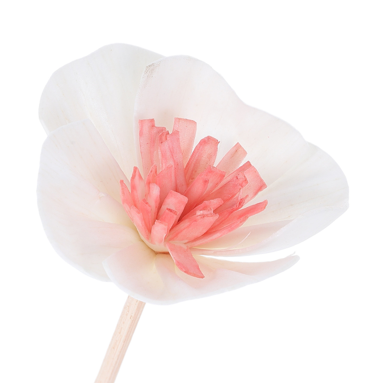 10 stuks zwarte essentiële oli - Home Fragrance Usa recensie en prijs